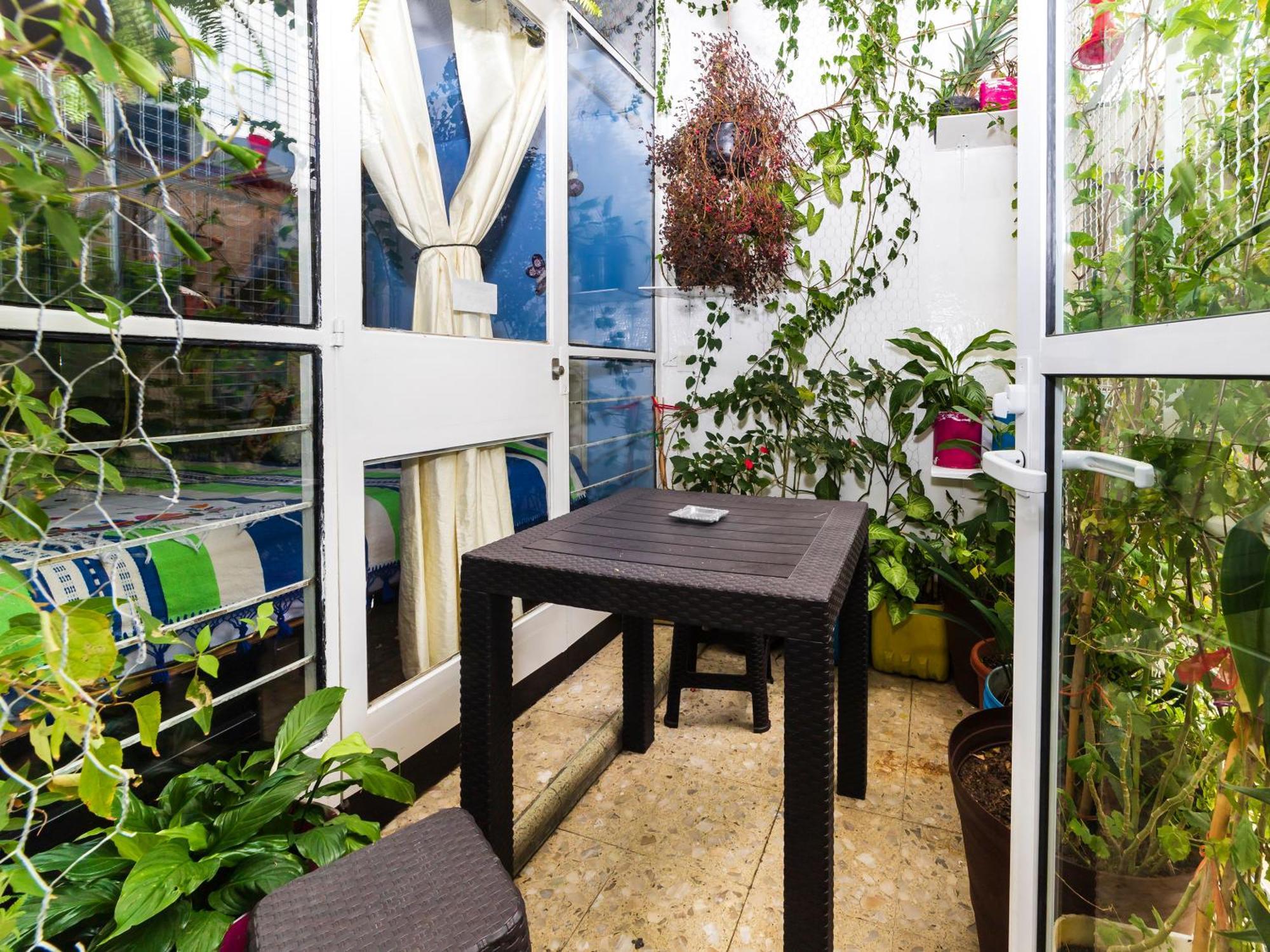 Casa Itzae B&B Polanquito Dog Friendly Meksyk Zewnętrze zdjęcie