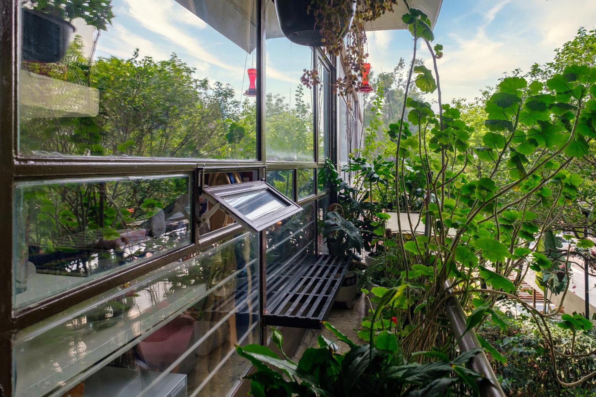 Casa Itzae B&B Polanquito Dog Friendly Meksyk Zewnętrze zdjęcie
