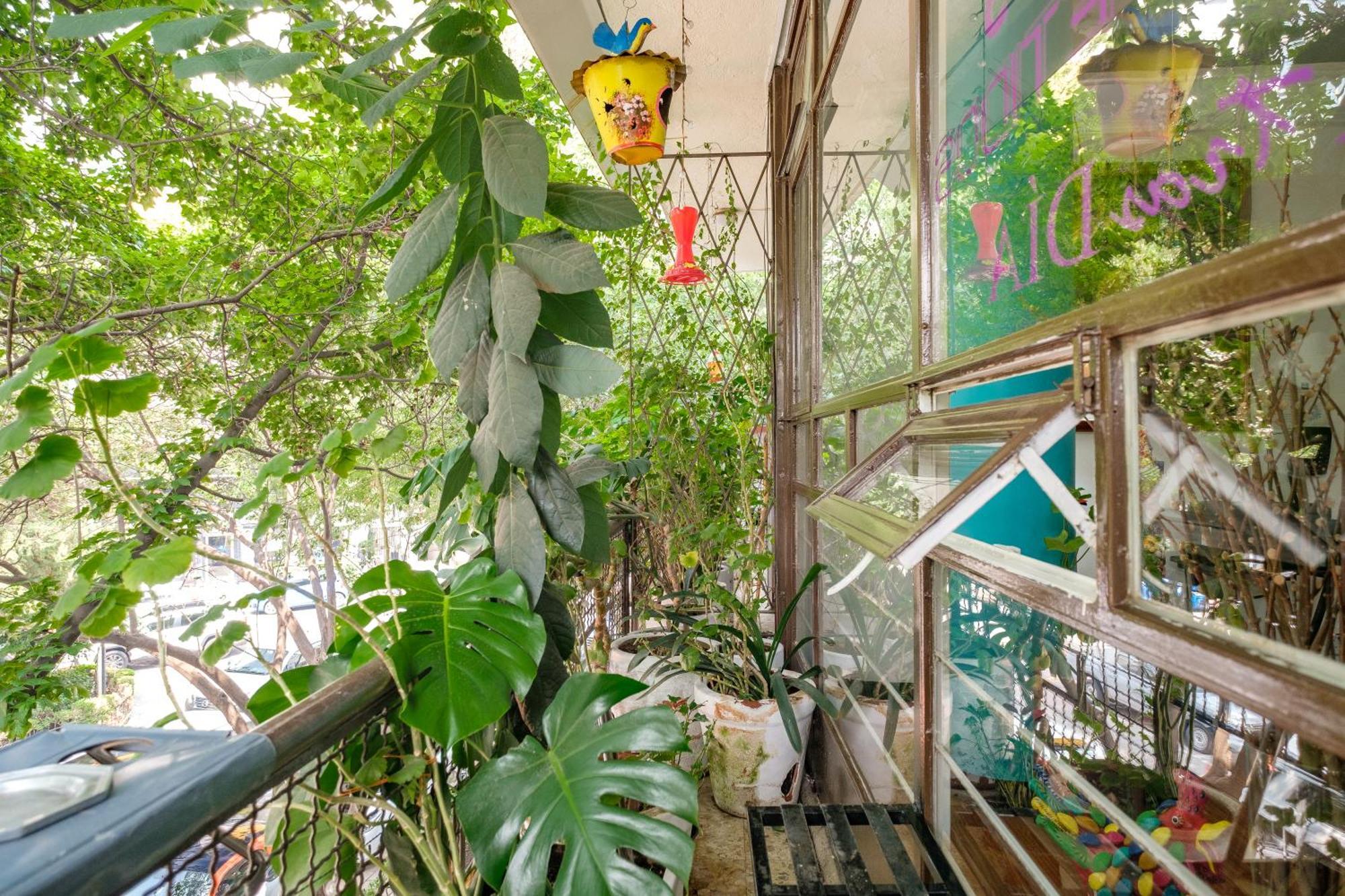 Casa Itzae B&B Polanquito Dog Friendly Meksyk Zewnętrze zdjęcie
