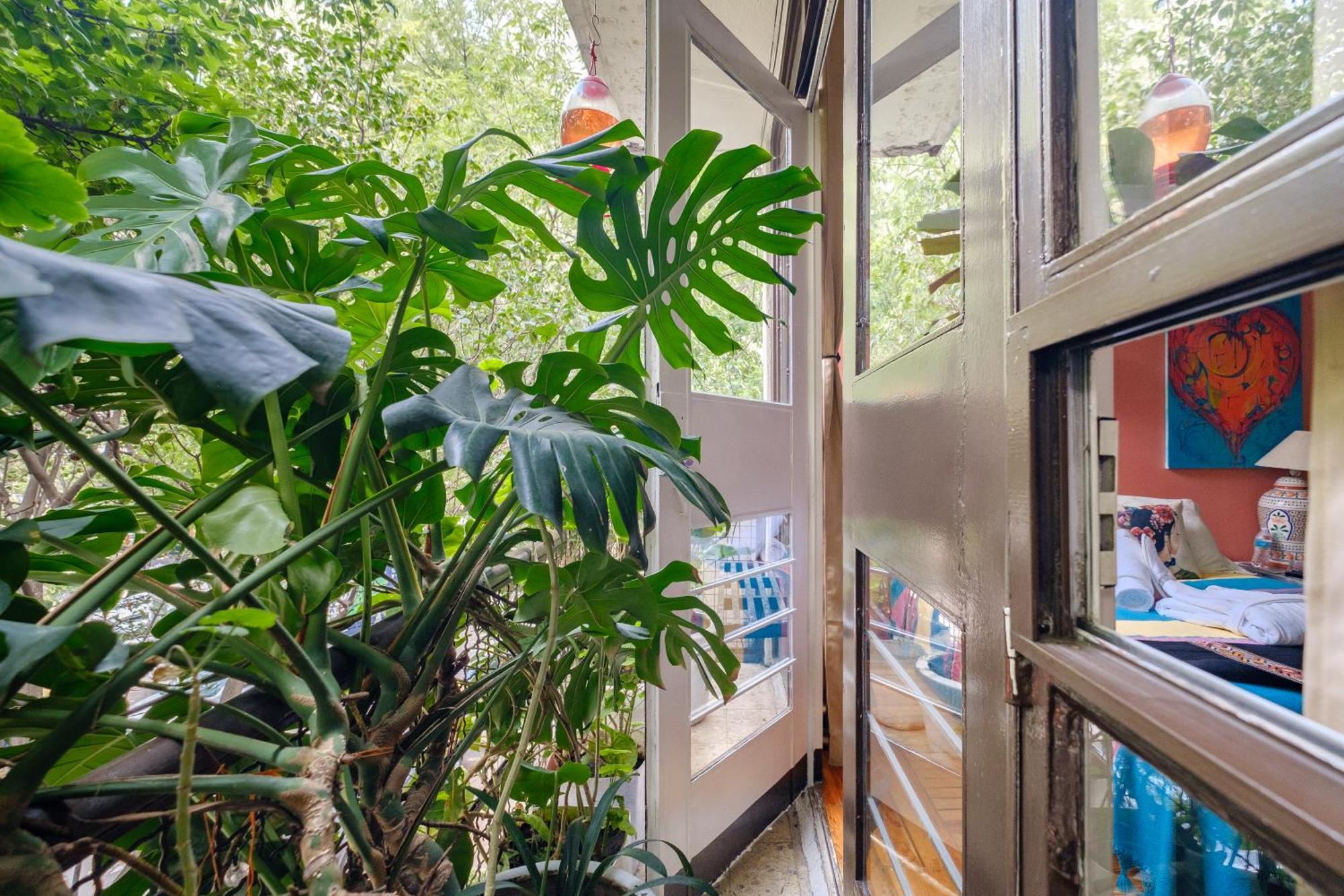Casa Itzae B&B Polanquito Dog Friendly Meksyk Zewnętrze zdjęcie